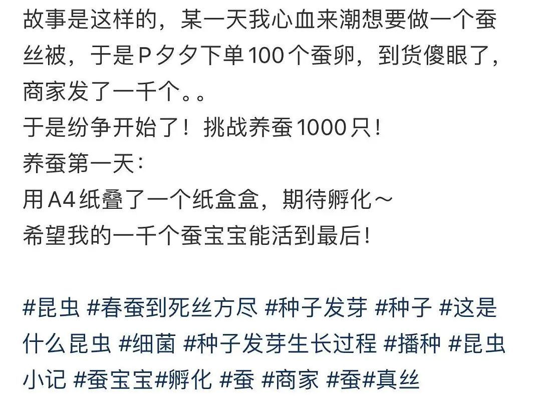 【美女】“拼夕夕下单一百个蚕卵商家发来一千个?”网友夺笋:现在下单桑树还来得及!(组图) - 6