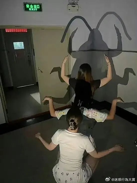 【爆笑】“妈妈手机不小心登了我的网盘之后......“哈哈哈哈哈啊哈哈哈哈救命尺度太大了（组图） - 49