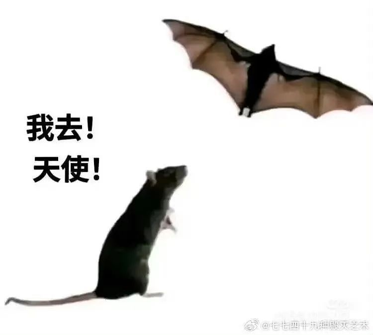 【爆笑】“妈妈手机不小心登了我的网盘之后......“哈哈哈哈哈啊哈哈哈哈救命尺度太大了（组图） - 41