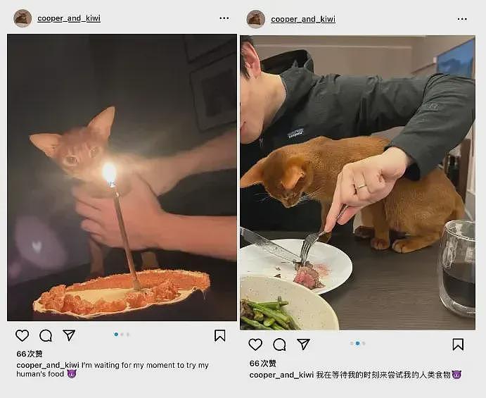 清华学霸杀妻案新证据曝光!两人早已感情破裂,凶手先出轨后杀妻?(组图) - 6
