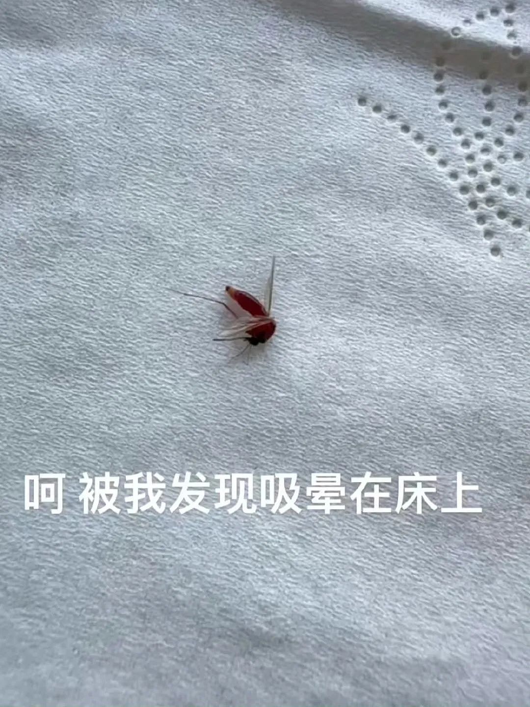 【爆笑】“妈妈手机不小心登了我的网盘之后......“哈哈哈哈哈啊哈哈哈哈救命尺度太大了（组图） - 44