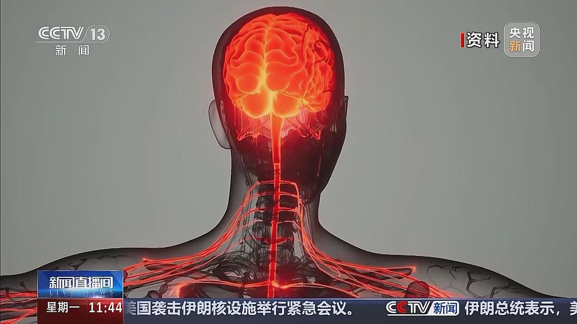贩毒头目年仅17岁！新型毒品案件曝光....（组图） - 5