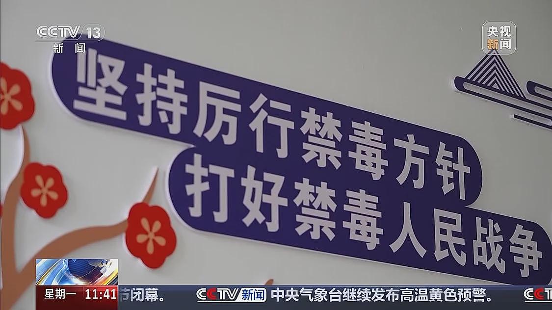 贩毒头目年仅17岁！新型毒品案件曝光....（组图） - 2