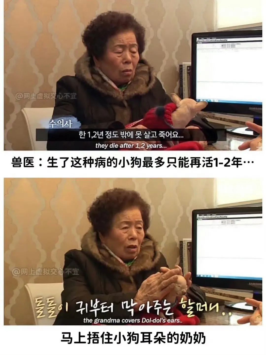 【爆笑】“老板半夜要我加班该如何反击？” 哈哈哈哈哈哈太会折磨人了（组图） - 74