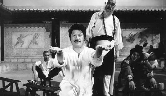 著名演员唐佳跳楼离世，享年88岁，妻子雪妮患胰腺癌受打击（组图） - 5