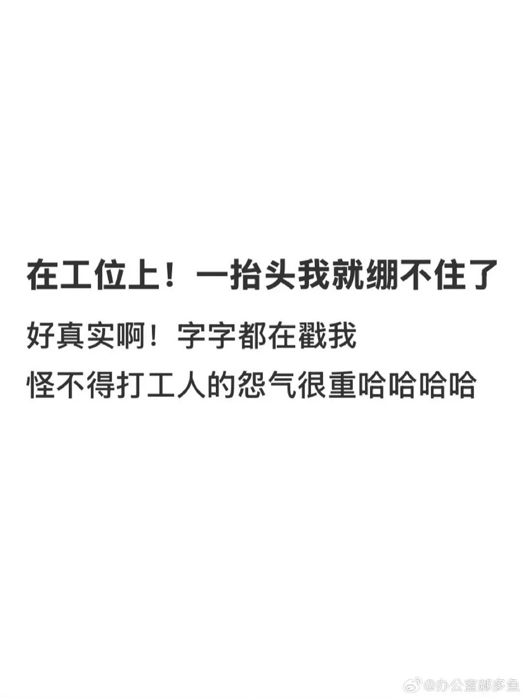 【爆笑】“妈妈手机不小心登了我的网盘之后......“哈哈哈哈哈啊哈哈哈哈救命尺度太大了（组图） - 77