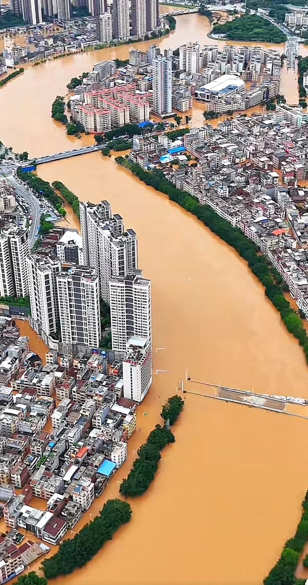 广东暴雨零食店遭哄抢，最寒心的一幕出现了…（组图） - 2