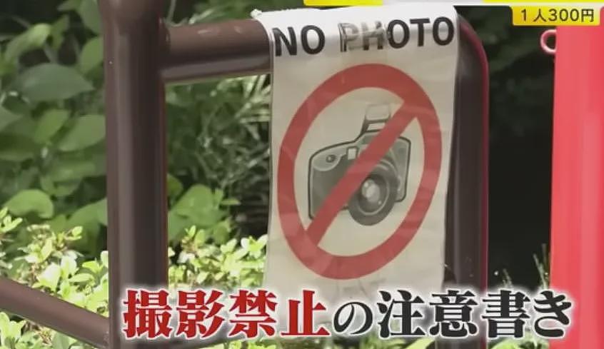 中国游客带手机进日本温泉，在女浴场疯狂拍照引众怒！被提醒还怒怼工作人员（组图） - 7