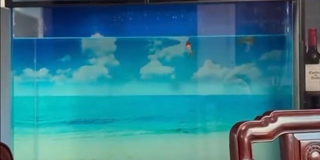 广东清远市4.3级地震：水樽晃动、民众户外避难画面曝！广深等地人民有震感，网民：南山好明显（视频/组图） - 5