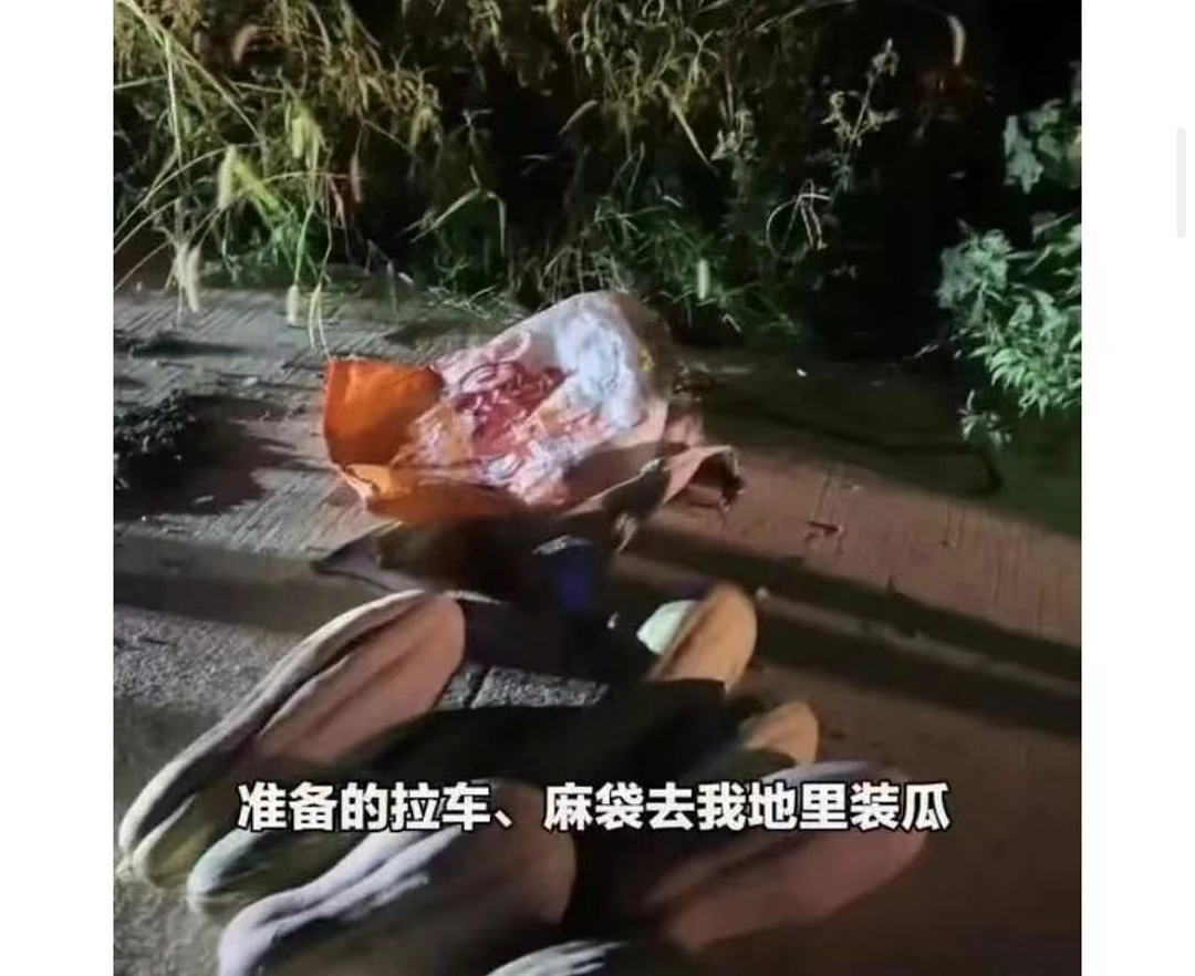 广东暴雨零食店遭哄抢，最寒心的一幕出现了…（组图） - 14