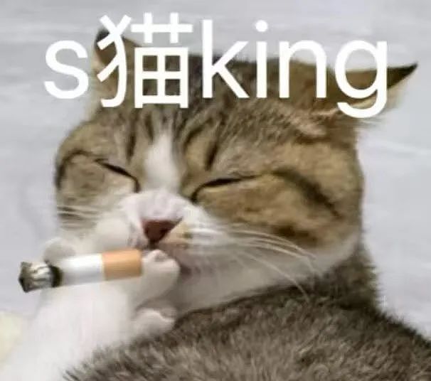 【爆笑】“老板半夜要我加班该如何反击？” 哈哈哈哈哈哈太会折磨人了（组图） - 40