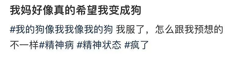【爆笑】当我告诉妈妈自己变成狗了后…？哈哈哈不愧是豪放的东北女人（组图） - 3