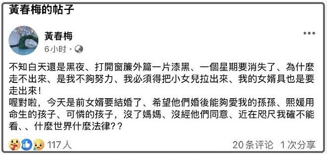 S妈又发文抱怨了!马筱梅删除账号商品,疑似心太累选择回归家庭(组图) - 4