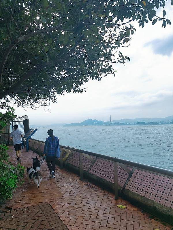 香港顶流男星坠海引热议！事发前疑饮酒服药，本人曾自曝抑郁症（组图） - 11