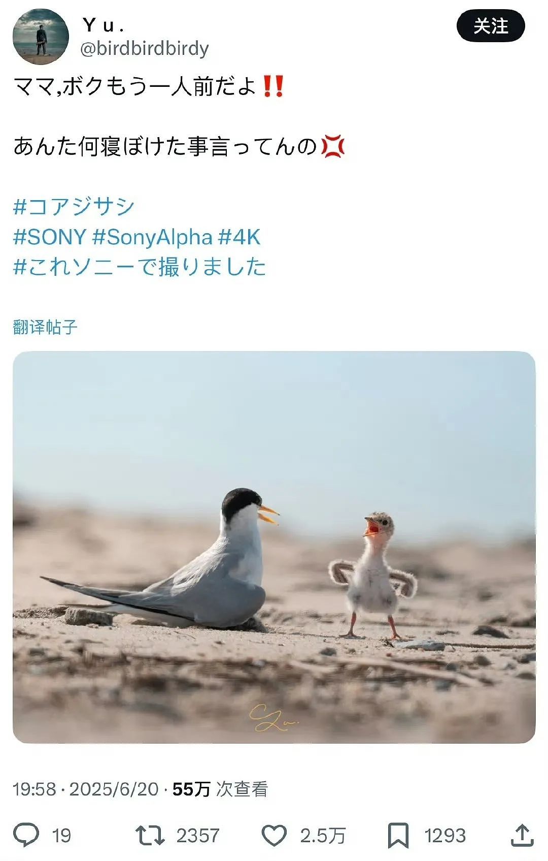 【爆笑】当我告诉妈妈自己变成狗了后…？哈哈哈不愧是豪放的东北女人（组图） - 63