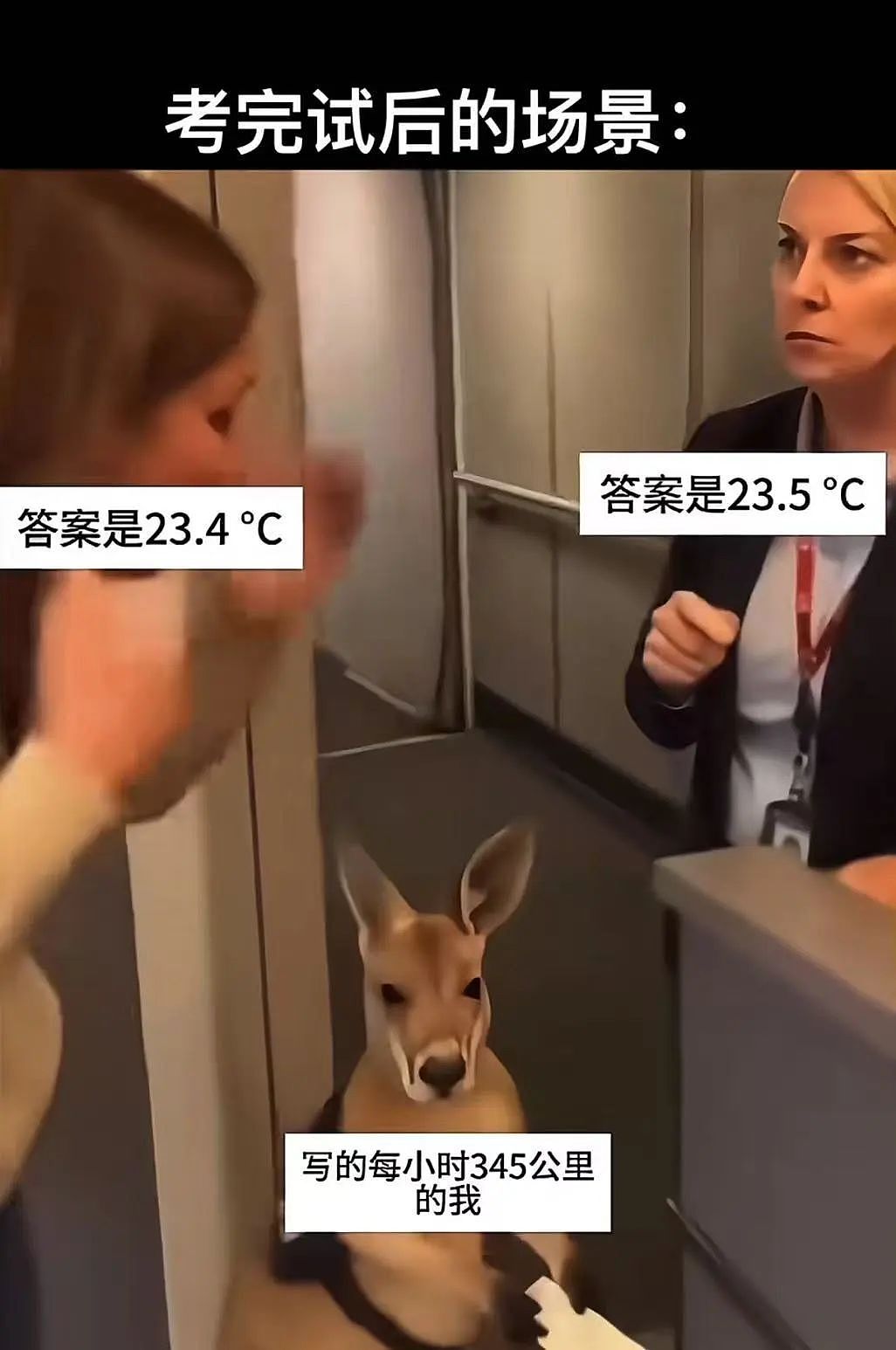 【爆笑】当我告诉妈妈自己变成狗了后…？哈哈哈不愧是豪放的东北女人（组图） - 25