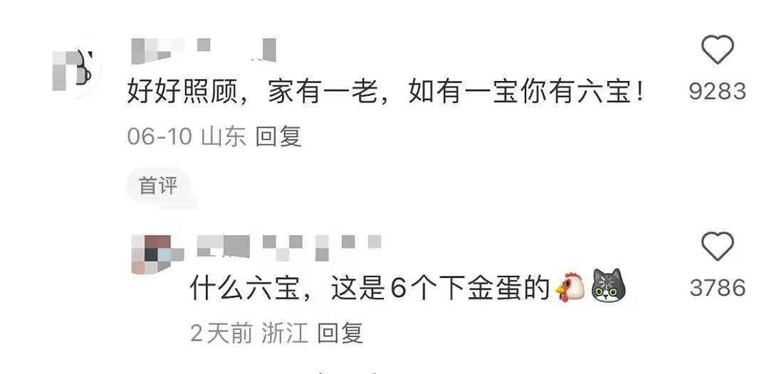【爆笑】当我告诉妈妈自己变成狗了后…？哈哈哈不愧是豪放的东北女人（组图） - 54