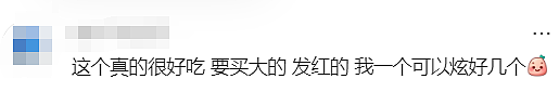 澳洲橘子界C位出道！今年最甜橘子已上线，每年只等这一波（组图） - 8