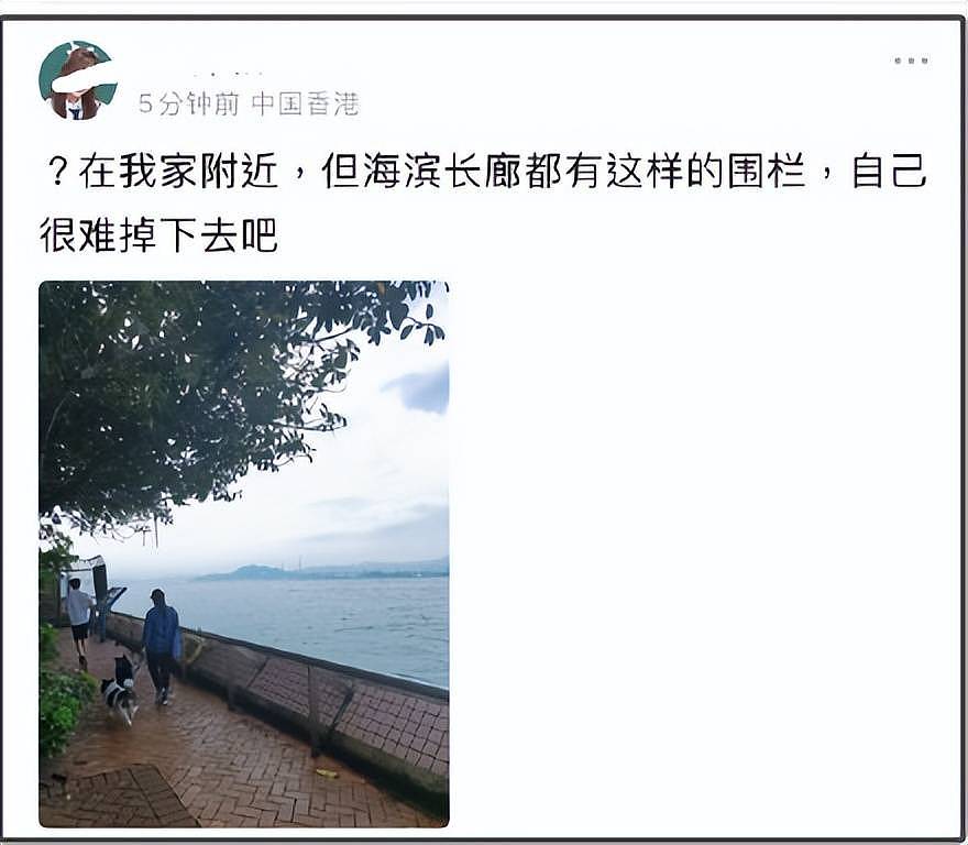 香港顶流男星坠海引热议！事发前疑饮酒服药，本人曾自曝抑郁症（组图） - 10