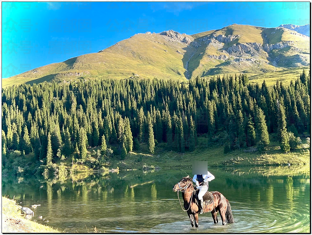 毁三观!网传某大厂前总监手握200多份超美女大学生供养协议,内容超乎寻常(组图) - 10