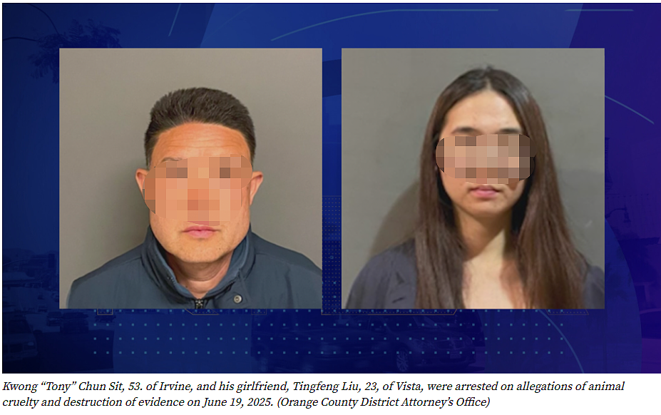 洛杉矶华男和女友犯重罪,弄死11条生命!逮捕前准备逃回国,两人被命令交出护照,面临14年监禁(组图) - 2