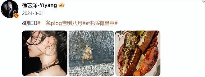 徐艺洋生娃太神秘被质疑代孕!孕期时间线曝光,原来两人奉子成婚(组图) - 12