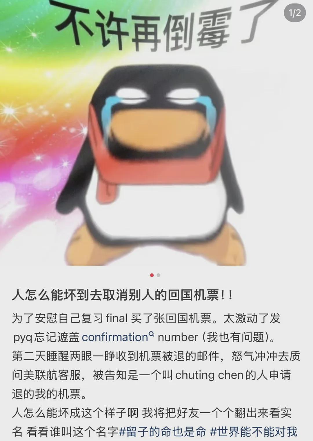 中国留学生朋友圈晒回国机票，不料被同学暗中取消！涉嫌违法或将被遣返...（组图） - 1