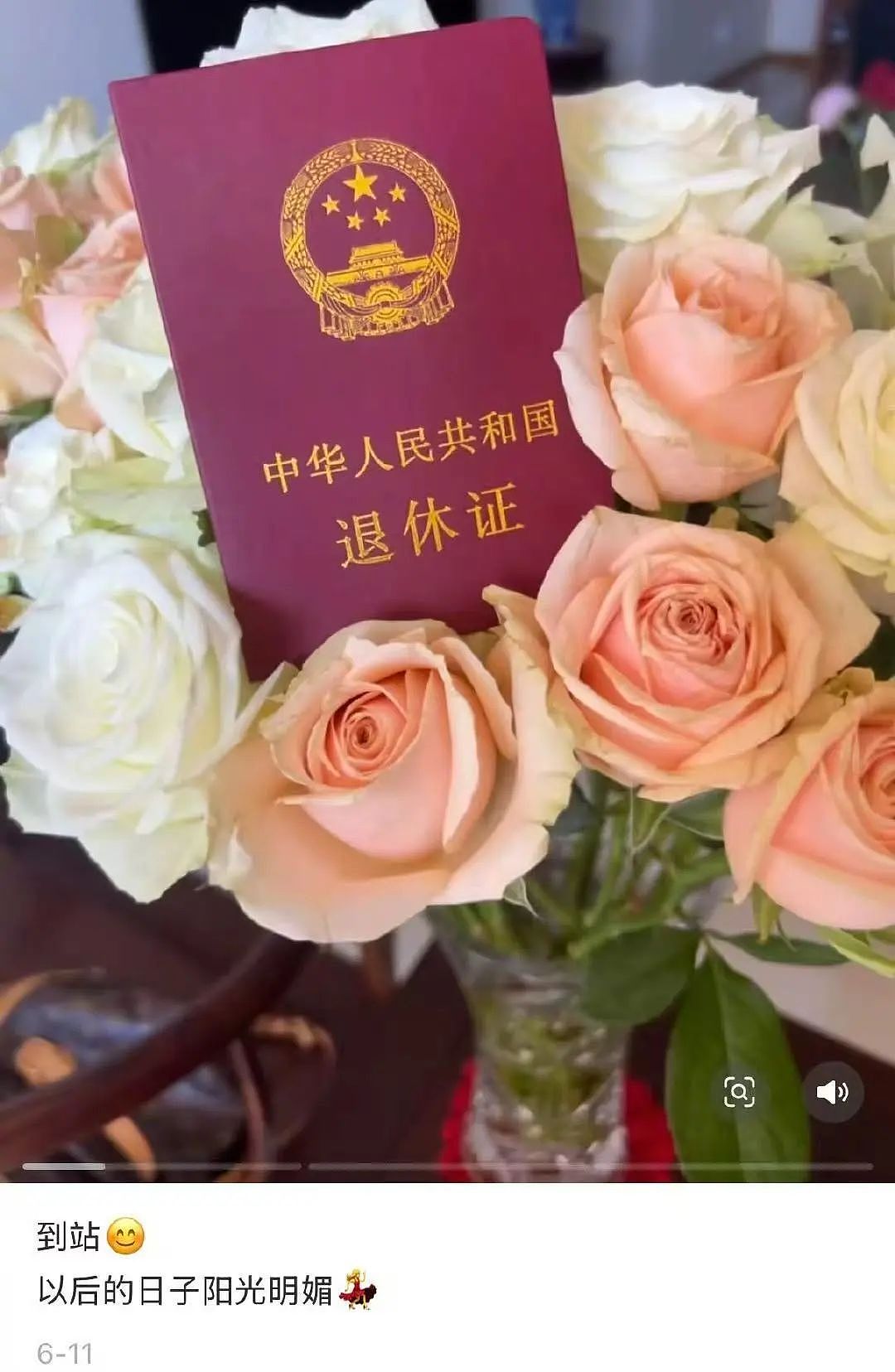 【爆笑】当我告诉妈妈自己变成狗了后…？哈哈哈不愧是豪放的东北女人（组图） - 59