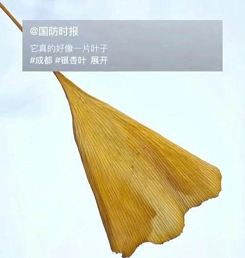 外媒竞猜：今年大阅兵中国哪些新“杀手锏”亮相？（组图） - 3