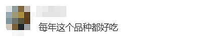 澳洲橘子界C位出道！今年最甜橘子已上线，每年只等这一波（组图） - 7