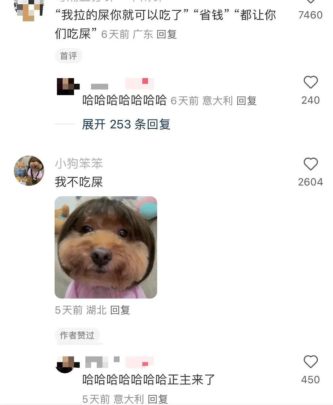 【爆笑】当我告诉妈妈自己变成狗了后…？哈哈哈不愧是豪放的东北女人（组图） - 9