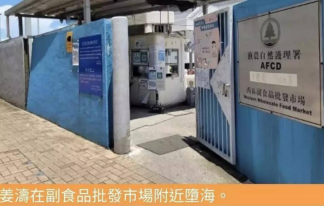 香港顶流男星坠海引热议！事发前疑饮酒服药，本人曾自曝抑郁症（组图） - 4
