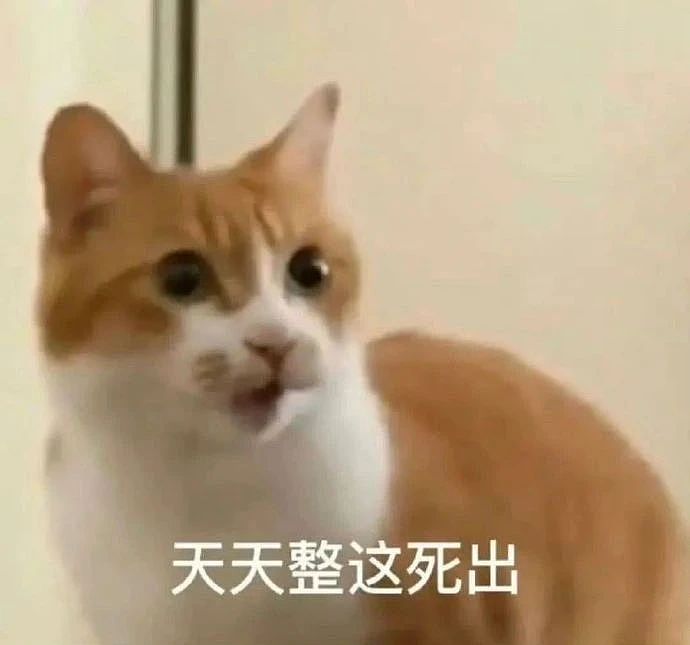 【爆笑】当我告诉妈妈自己变成狗了后…？哈哈哈不愧是豪放的东北女人（组图） - 1