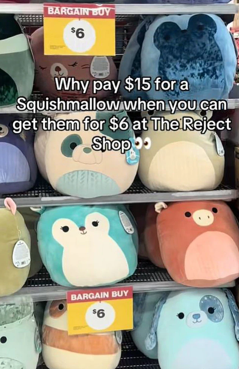 6刀捡漏！The Reject Shop 热门商品遭疯抢，有人一次买21个（组图） - 3