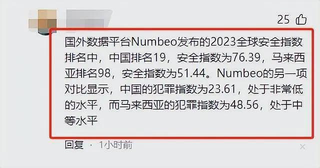 曝中国女生马来西亚遭劫6小时，还被逼吸叶子，网友透露更狠内幕（组图） - 13