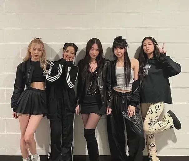 韩国女首富外孙女出道！眼神凌厉长相贵气，韩娱唯一的真财阀千金（组图） - 9