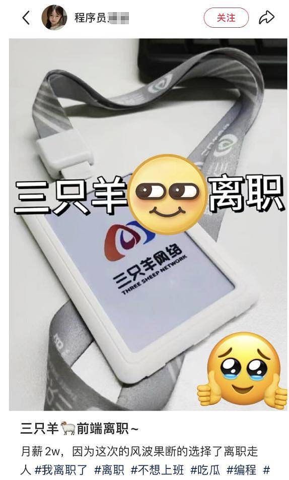 三只羊现状曝光！员工陆续离职，公司里空无一人，小杨哥复出无望（组图） - 15