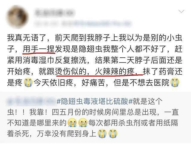 毒液堪比硫酸!女子摸了下脖子就“中招”!千万别碰,有人差点毁容(组图) - 3