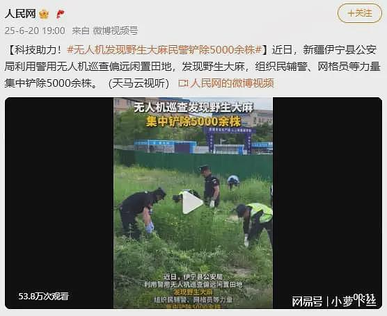 新疆铲除野生大麻5000余株，遭大V吐槽：那是本土品种，工业用的并非毒品（组图） - 1