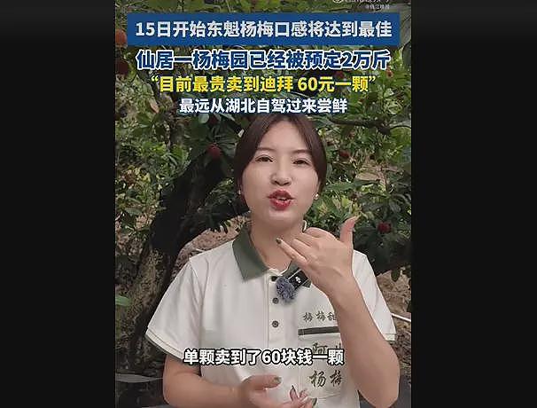荔枝60一斤卖给迪拜土豪：中国水果，完成了一次痛苦蜕变（组图） - 2