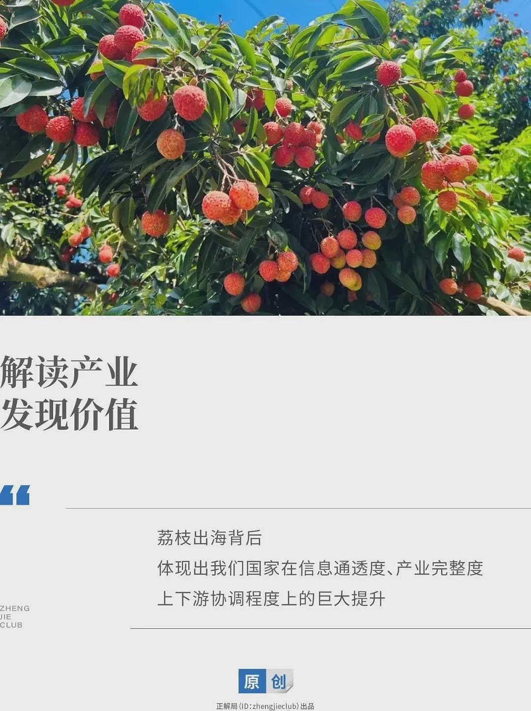 荔枝60一斤卖给迪拜土豪：中国水果，完成了一次痛苦蜕变（组图） - 1