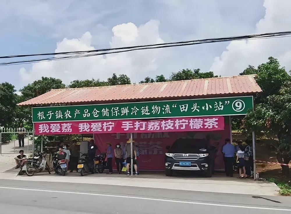 荔枝60一斤卖给迪拜土豪：中国水果，完成了一次痛苦蜕变（组图） - 15