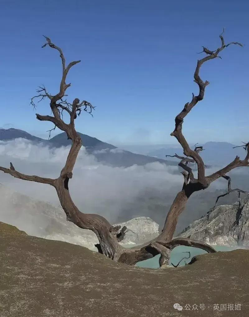 美女游客坠入印尼网红火山悬崖惨死!救援拉垮3天活活把人拖死,网友:一群饭桶(组图) - 22