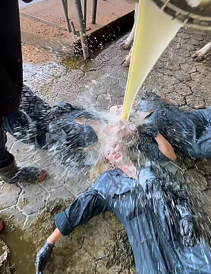 新西兰“网黄”农场拍擦边视频！被人举报：请放开那头奶牛（组图） - 4