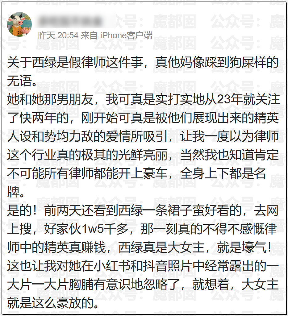 震撼！律师圈大瓜！超美白皙巨峰网红美女律师被律师报警（组图） - 20
