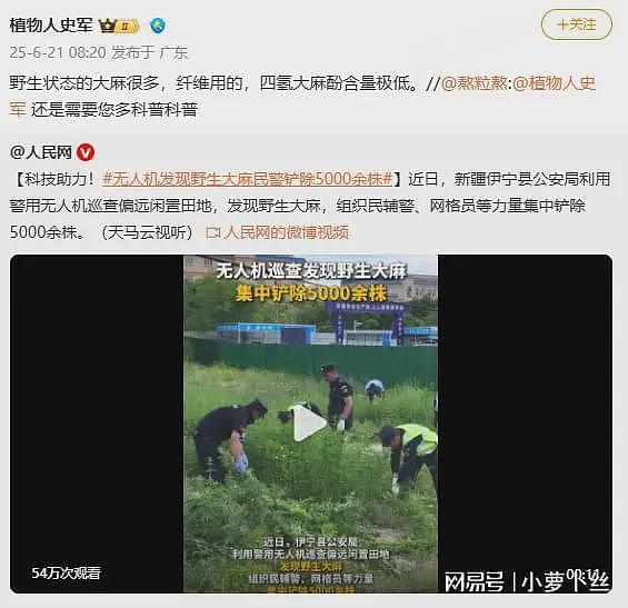 新疆铲除野生大麻5000余株，遭大V吐槽：那是本土品种，工业用的并非毒品（组图） - 2