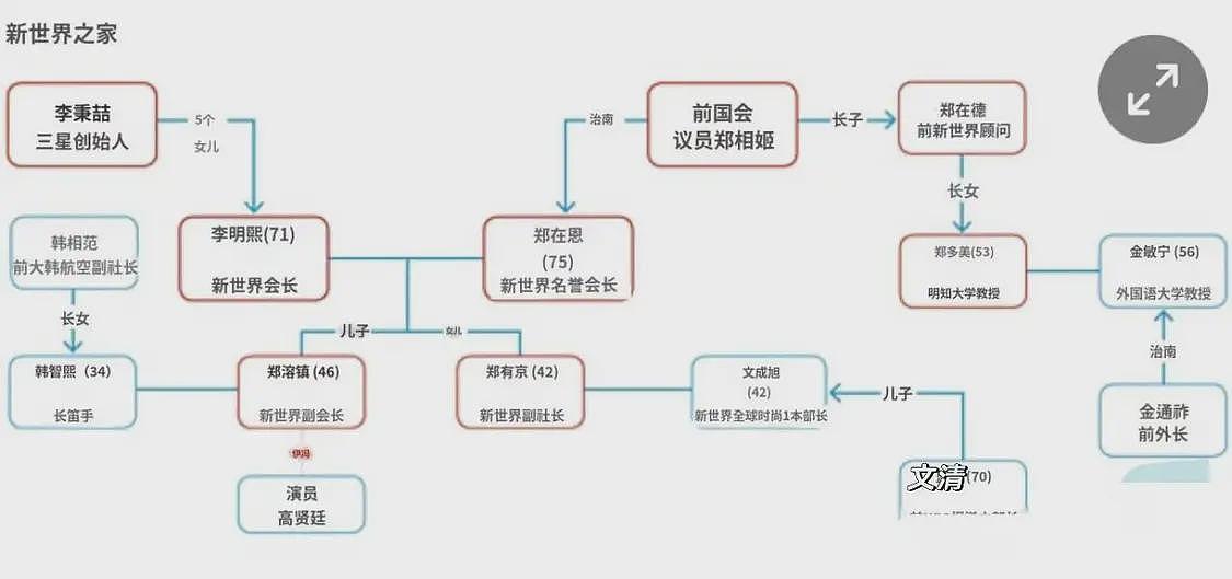 韩国女首富外孙女出道！眼神凌厉长相贵气，韩娱唯一的真财阀千金（组图） - 5