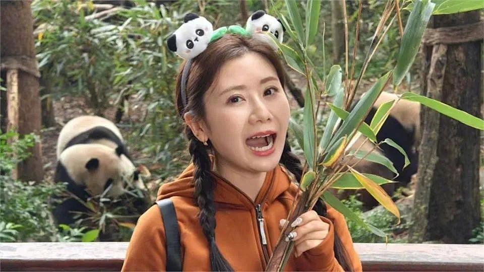 前男友出轨福原爱却上了热搜,日媒爆青森大学解聘福原爱原因(组图) - 5