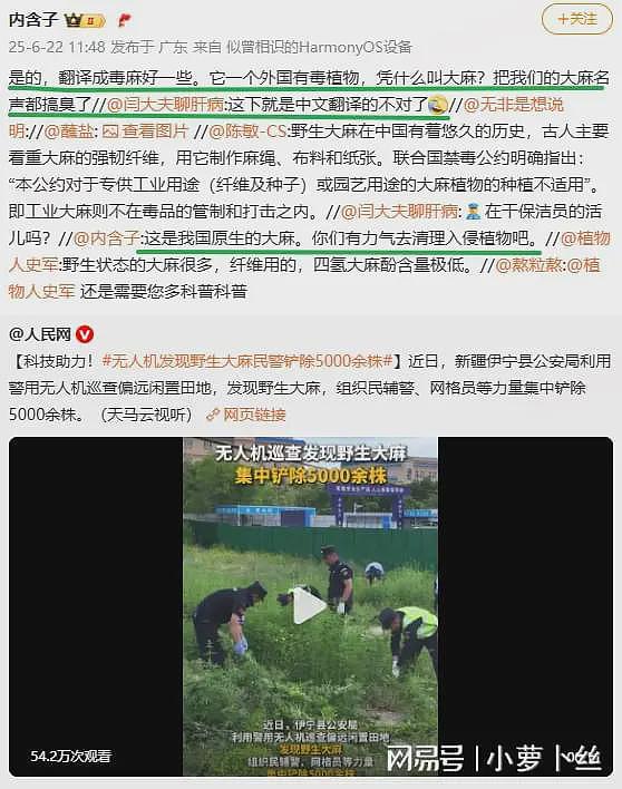 新疆铲除野生大麻5000余株，遭大V吐槽：那是本土品种，工业用的并非毒品（组图） - 5