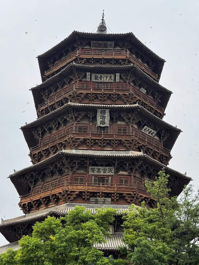 明星又搞特殊？韩雪打卡古建筑使用强光灯，董宇辉印小天也曾被骂（组图） - 3